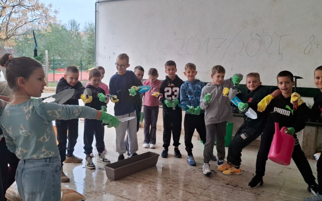 Edukativna sadnja ljekovitog bilja za učenike 2., 7. b i 8. b razreda